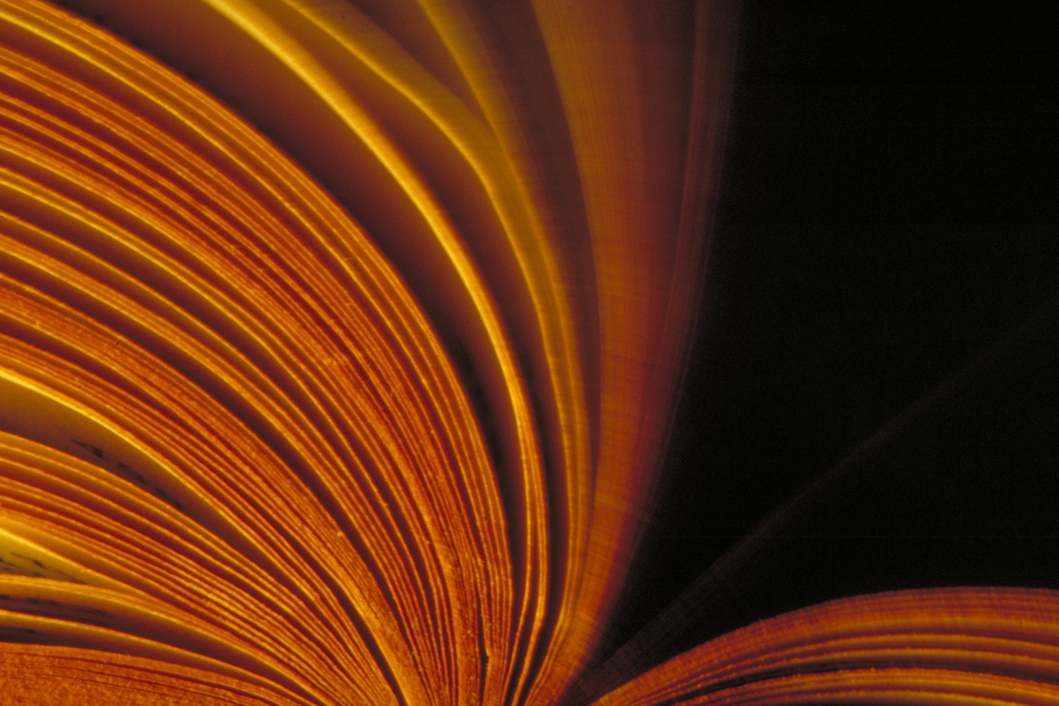 Feng Shui Beratung Hamburg | Feng Shui Geschichte - Aikipea Feng Shui